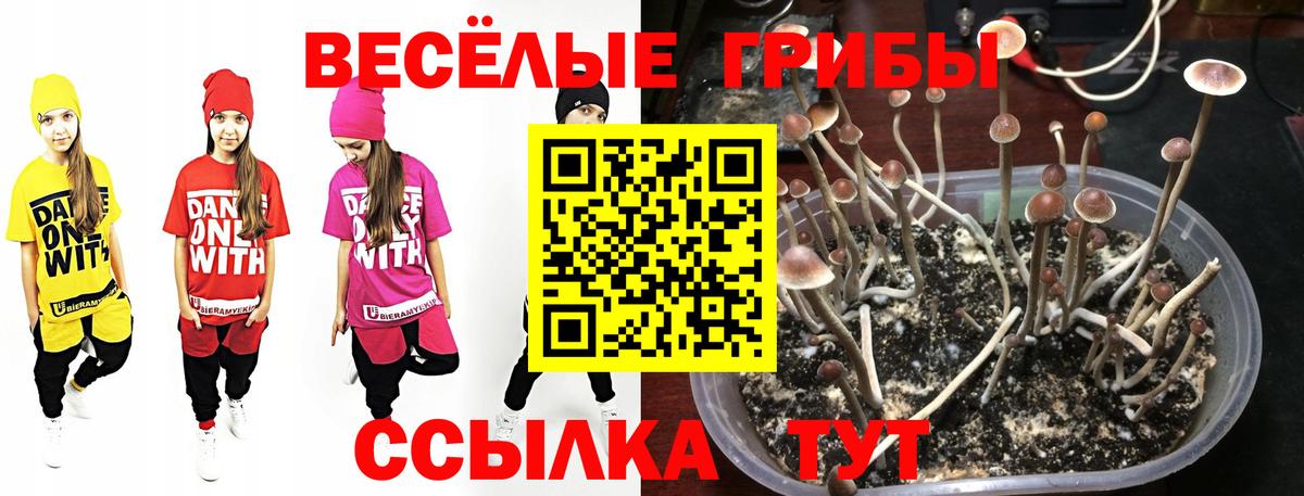 Верхняя Пышма  Псилоцибиновые грибы мухоморы  Вход с VPN  Галлюциногенные грибы Magic Shrooms 